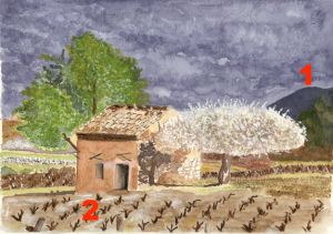 Vignes, Jacques Lefebvre — cliquer pour voir en grand