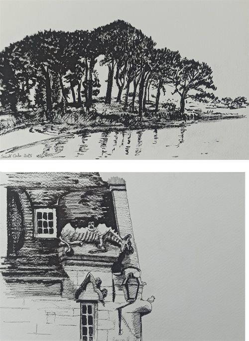 Croquis à l'encre, stylo pinceau Pentel et Pigma Micron, Roscoff