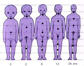 Évolution des proportions selon l'âge