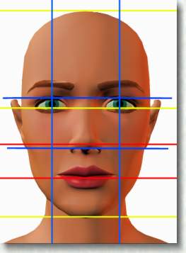 Proportions du visage. Placement des éléments.