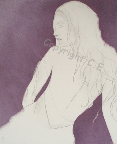 Pose du fond de la toile
